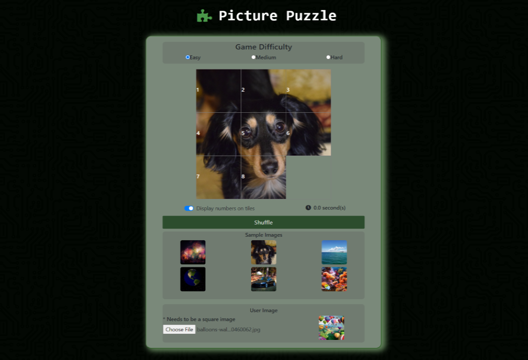 Picture Puzzle