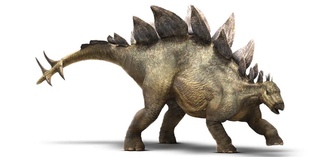 Stegosaurus